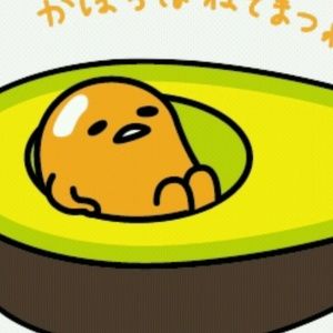 Meet your Posher, Ava